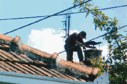 Odzacar Sveto Kraljevo